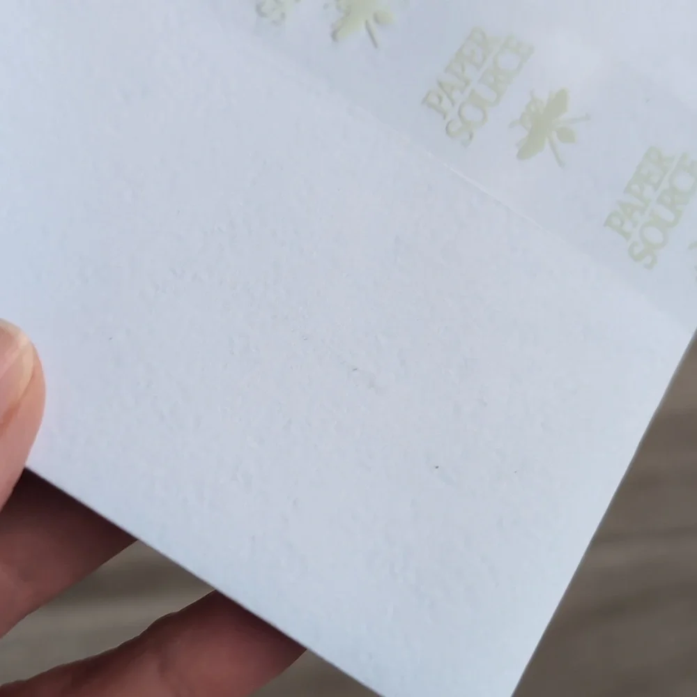 NWT Paper Source A2 Envelopes